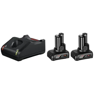 Bosch GBA 6.0Ah Battery & Charger Starter Kit High Capacity. Fast Charging for Power Tools 0600A01B21